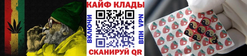 Купить наркотики цена Динская ГАШИШ  APVP  Кокаин  Псилоцибиновые грибы  Каннабис  Меф мяу мяу 