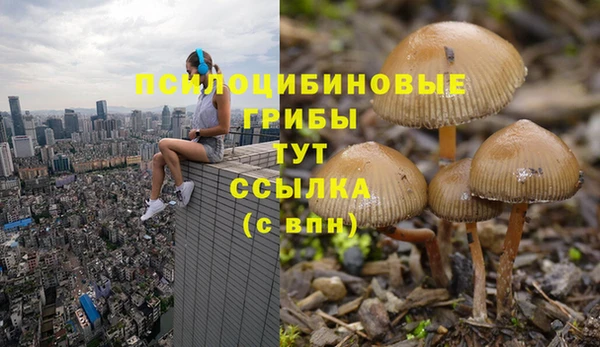 мет Алексеевка
