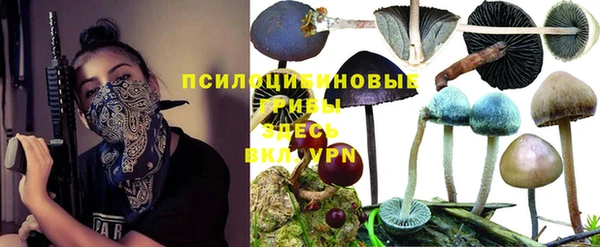 мдпв Алзамай