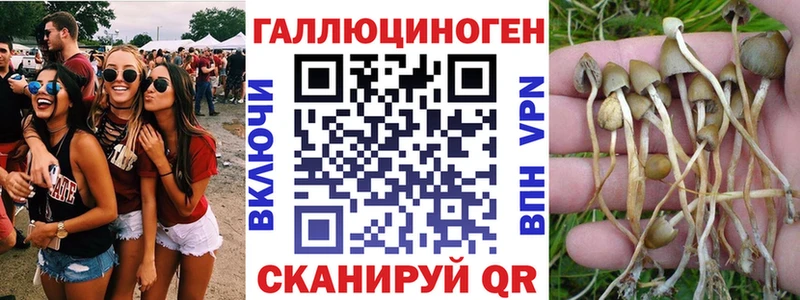 Галлюциногенные грибы Cubensis  blacksprut ТОР  Динская 